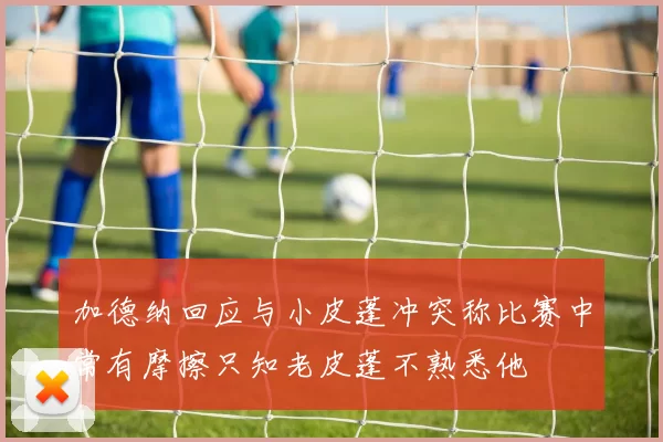 加德纳回应与小皮蓬冲突称比赛中常有摩擦只知老皮蓬不熟悉他