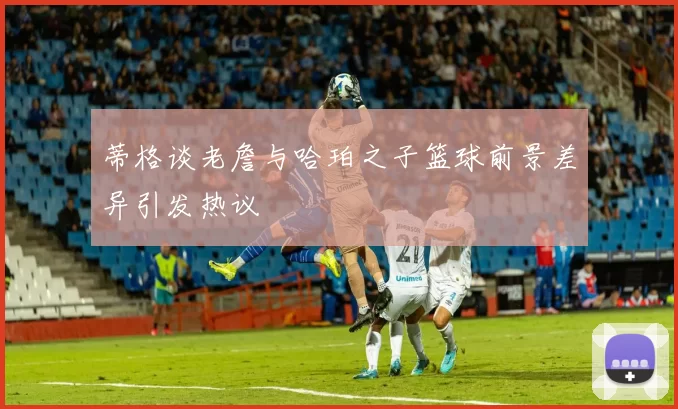 蒂格谈老詹与哈珀之子篮球前景差异引发热议