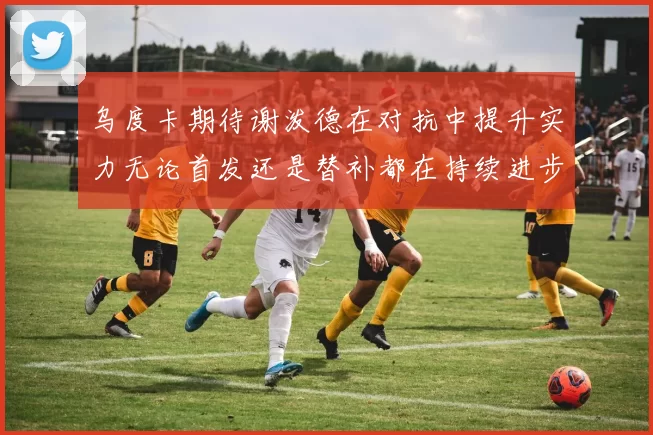 乌度卡期待谢泼德在对抗中提升实力无论首发还是替补都在持续进步
